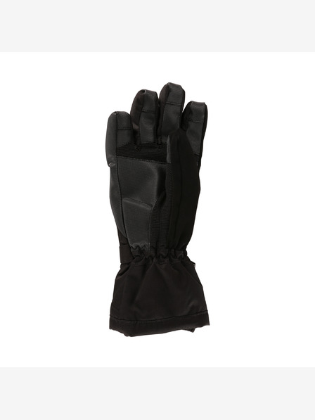 ALPINE PRO Női síelő kesztyű membránnal PTX GLOVES ALPINE PRO RENA